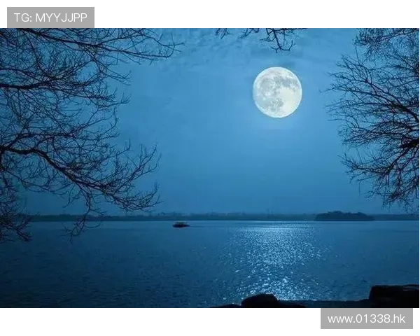 月色如钩，心事如许：一场偷来的月光情缘